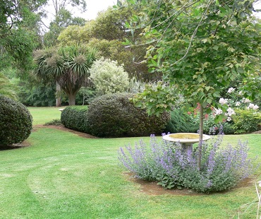 Terrace Garden Development